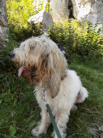 Rupert Odin Danda Bohemia