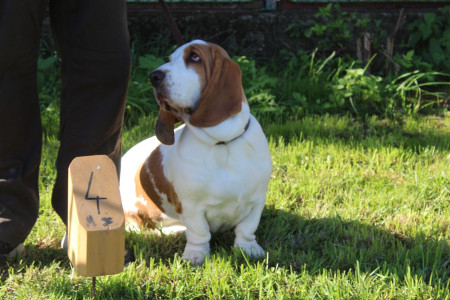 FD 2025 Rastislavice 